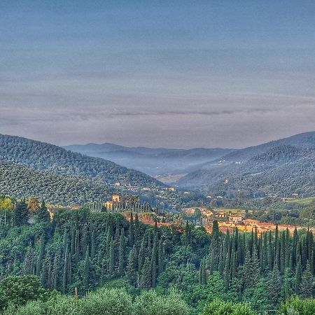 Villa L'Oasi Di Cice Rufina Exterior foto