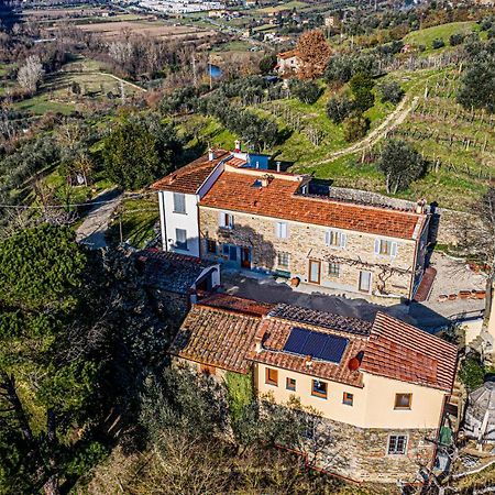 Villa L'Oasi Di Cice Rufina Exterior foto